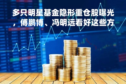 多只明星基金隐形重仓股曝光，傅鹏博、冯明远看好这些方向