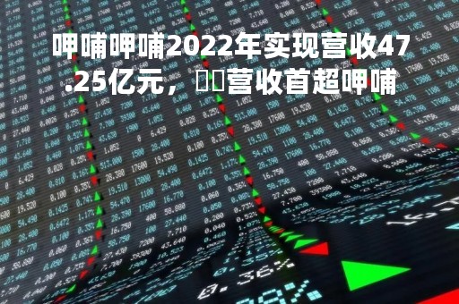 呷哺呷哺2022年实现营收47.25亿元，湊湊营收首超呷哺