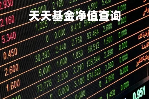 天天基金净值查询「我的基金查询」
