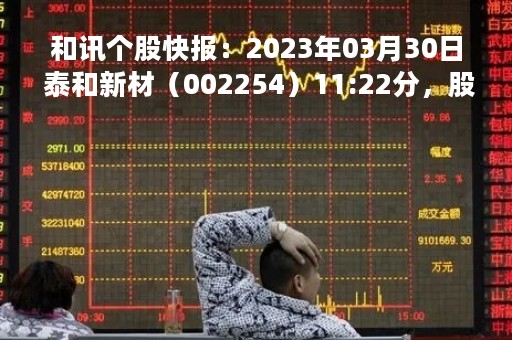 和讯个股快报：2023年03月30日 泰和新材（002254）11:22分，股价快速拉升