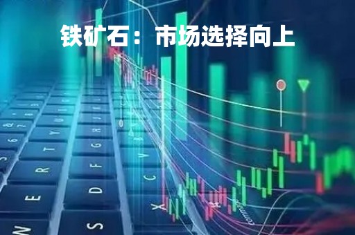 铁矿石：市场选择向上