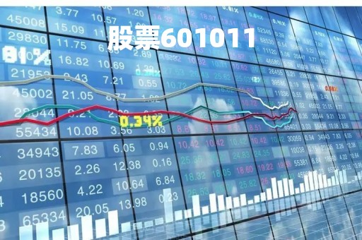 股票601011