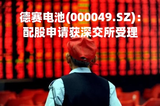 德赛电池(000049.SZ)：配股申请获深交所受理