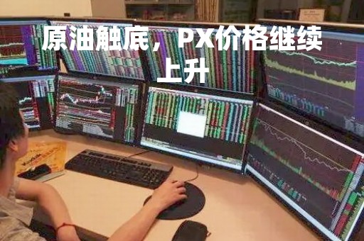 原油触底，PX价格继续上升