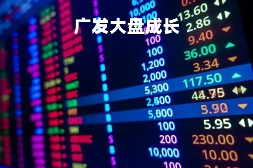广发大盘成长「广发大盘成长混合基金」