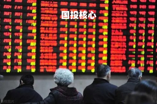 国投核心「国投核心今天净值」