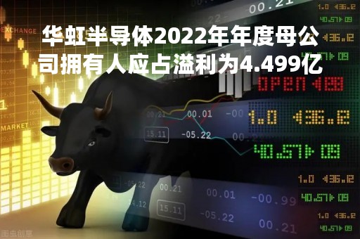 华虹半导体2022年年度母公司拥有人应占溢利为4.499亿美元 同比上升72.1%