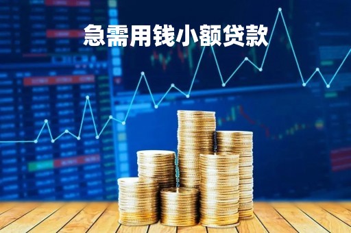 急需用钱小额贷款「急需用钱小额贷款违法吗」