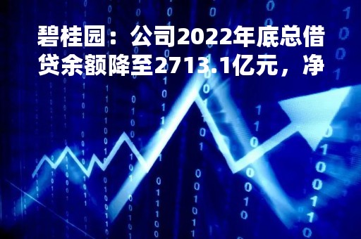 碧桂园：公司2022年底总借贷余额降至2713.1亿元，净负债率仅40%