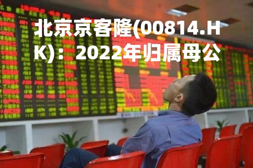 北京京客隆(00814.HK)：2022年归属母公司净利润-9607.1万元