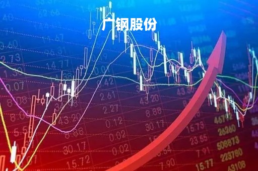 广钢股份「广钢股份2009年盈余管理」