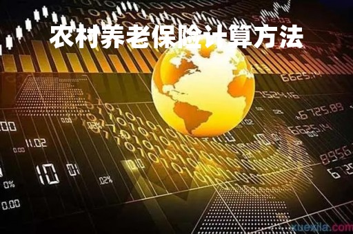 农村养老保险计算方法