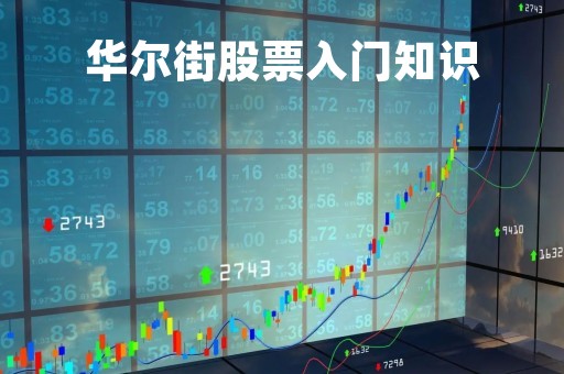 华尔街股票入门知识「华尔街股市投资经典」