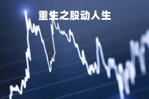 重生之股动人生「重生之股海为王」