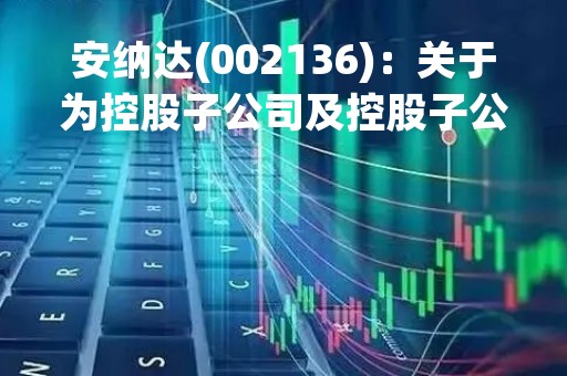 安纳达(002136)：关于为控股子公司及控股子公司为其所属子公司提供担保的公告（补充更正后）