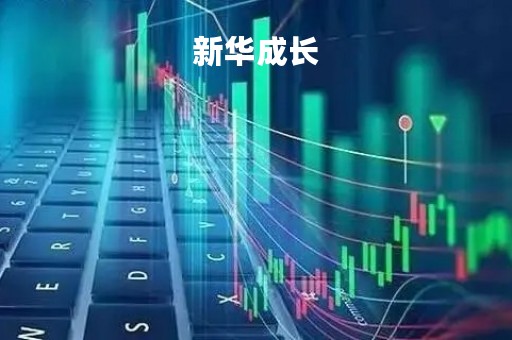 新华成长「新华成长阳光少儿两全保险」