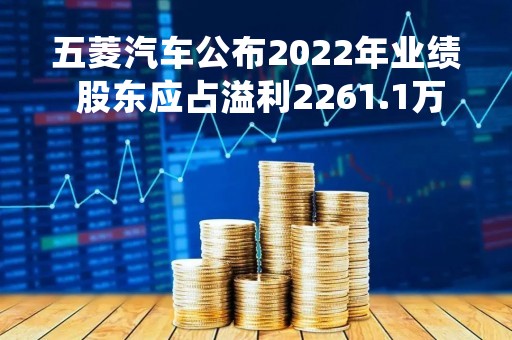 五菱汽车公布2022年业绩 股东应占溢利2261.1万元同比扭亏为盈