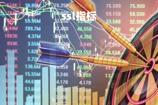 ssl指标「ssl指标详解」
