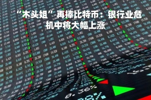 “木头姐”再捧比特币：银行业危机中将大幅上涨