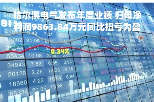 哈尔滨电气发布年度业绩 归母净利润9863.84万元同比扭亏为盈