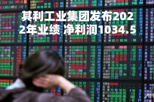 其利工业集团发布2022年业绩 净利润1034.5万美元同比增长165.1%