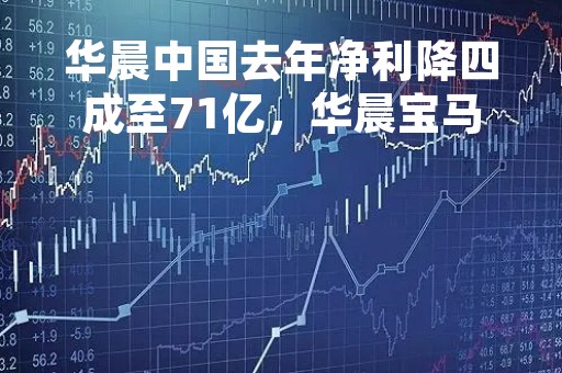 华晨中国去年净利降四成至71亿，华晨宝马海外销量大增