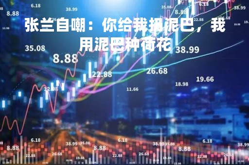 张兰自嘲：你给我扔泥巴，我用泥巴种荷花