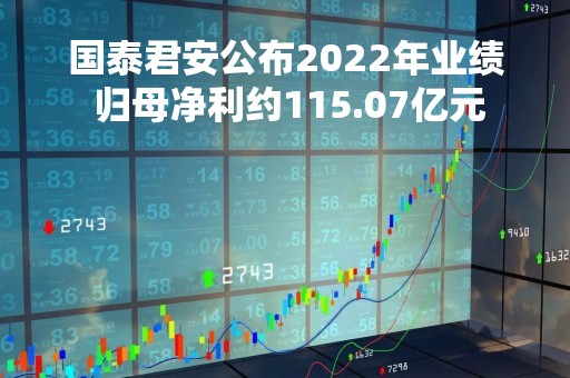 国泰君安公布2022年业绩 归母净利约115.07亿元