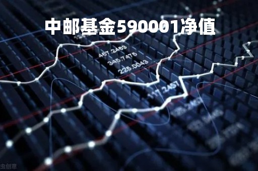 中邮基金590001净值「中邮基金59002净值」