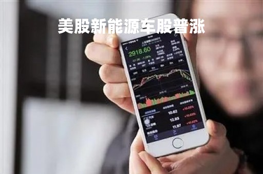 美股新能源车股普涨