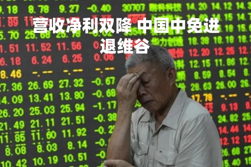 营收净利双降 中国中免进退维谷