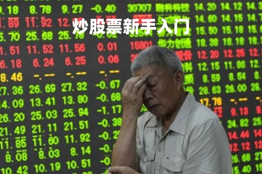 炒股票新手入门「中国股市app下载」