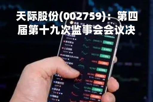 天际股份(002759)：第四届第十九次监事会会议决议，审议关于（天际新能源科技股份有限公司2022年度监事会工作报告）的议案等多项议案