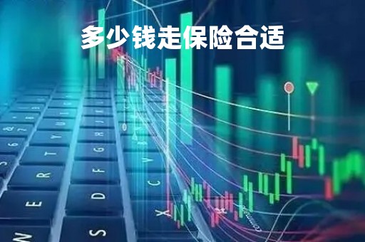 多少钱走保险合适