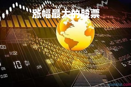 涨幅最大的股票「涨幅最大的股票排名」