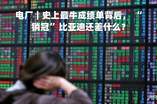 电厂｜史上最牛成绩单背后， “销冠”比亚迪还差什么？