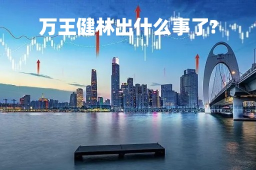 万王健林出什么事了?「万王健林是干什么的」
