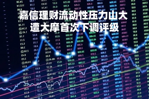 嘉信理财流动性压力山大 遭大摩首次下调评级