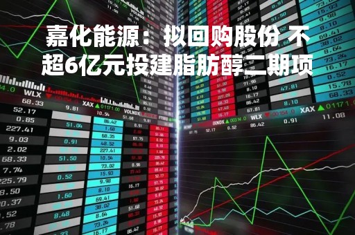嘉化能源：拟回购股份 不超6亿元投建脂肪醇二期项目