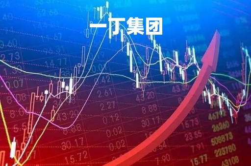 一丁集团「一丁集团是做什么的」