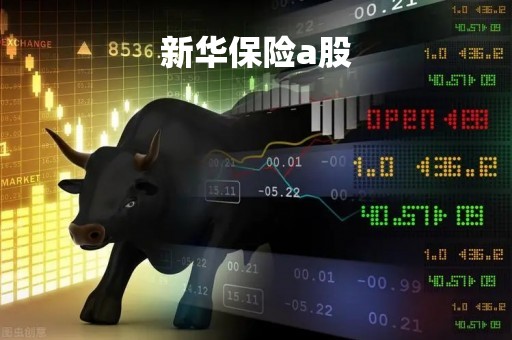 新华保险a股「民生人寿保险股份有限公司怎么样」