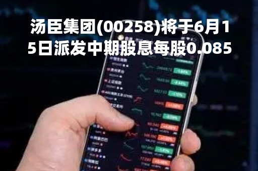 汤臣集团(00258)将于6月15日派发中期股息每股0.085港元