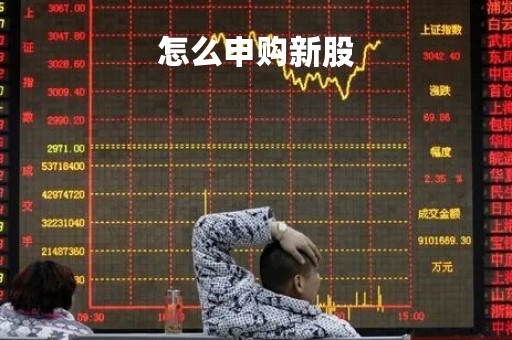 怎么申购新股「北证新股怎么申购」