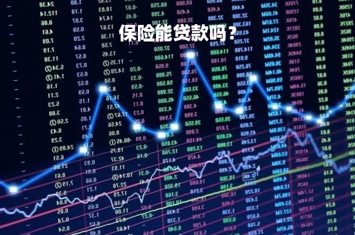 保险能贷款吗？
