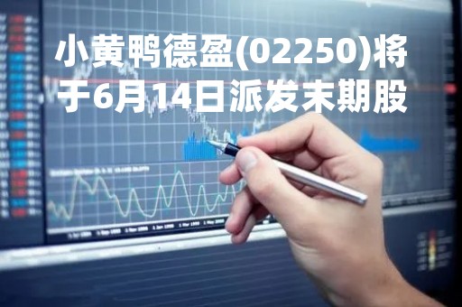 小黄鸭德盈(02250)将于6月14日派发末期股息每股0.0201港元