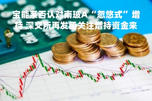 宝能系否认对南玻A“忽悠式”增持 深交所再发函关注增持资金来源
