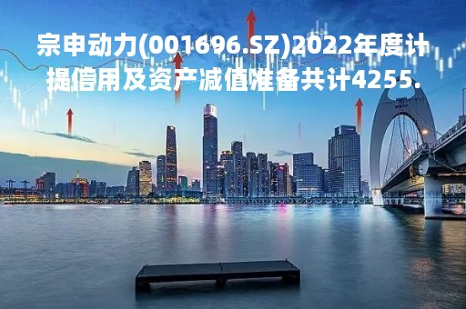 宗申动力(001696.SZ)2022年度计提信用及资产减值准备共计4255.6万元