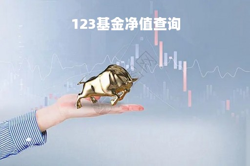 123基金净值查询「1234567基金净值查询」
