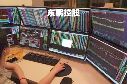 东鹏控股「东鹏控股市值」