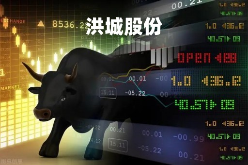 洪城股份「洪城股份有限公司」